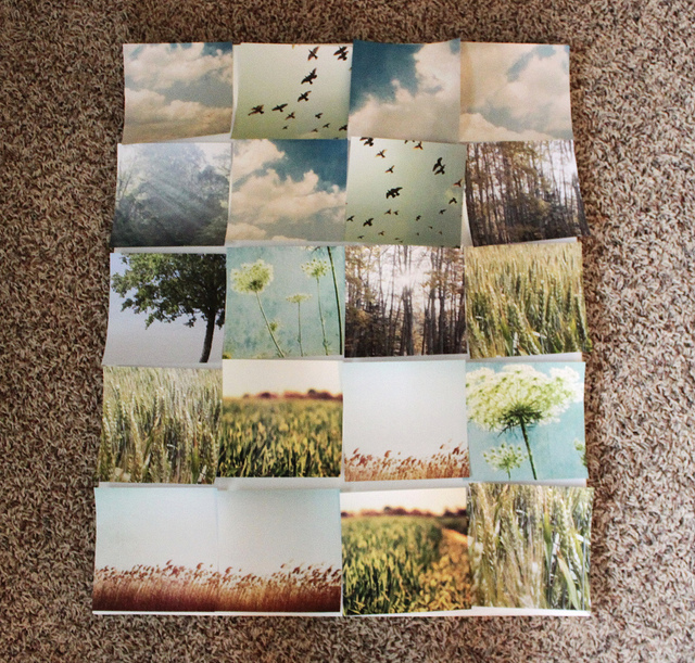 picture