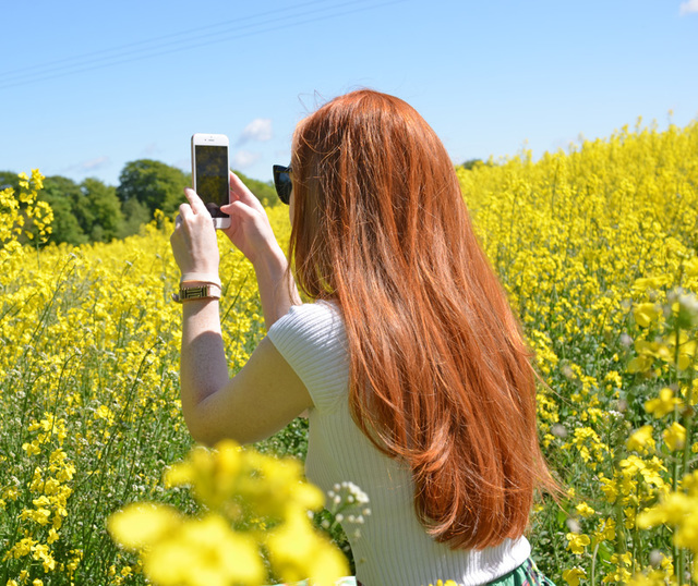 picture