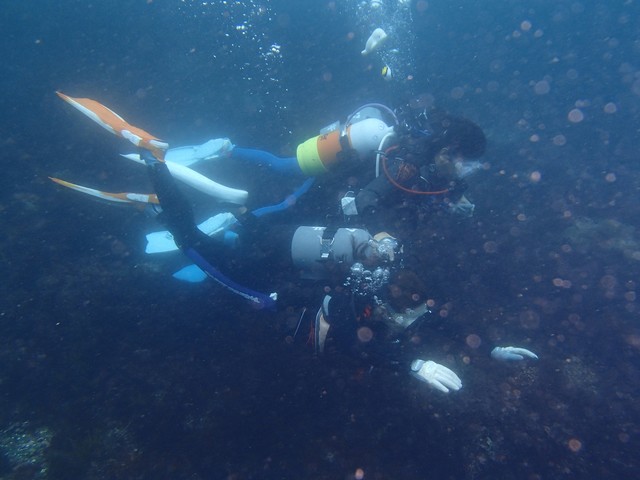 picture