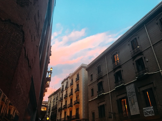 picture