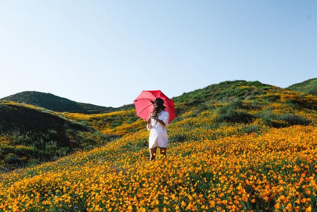 Photo by Jeremy Bishop / Unsplash