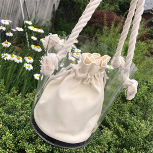 Clear bag