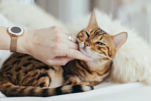 Photo by Paul / Unsplash