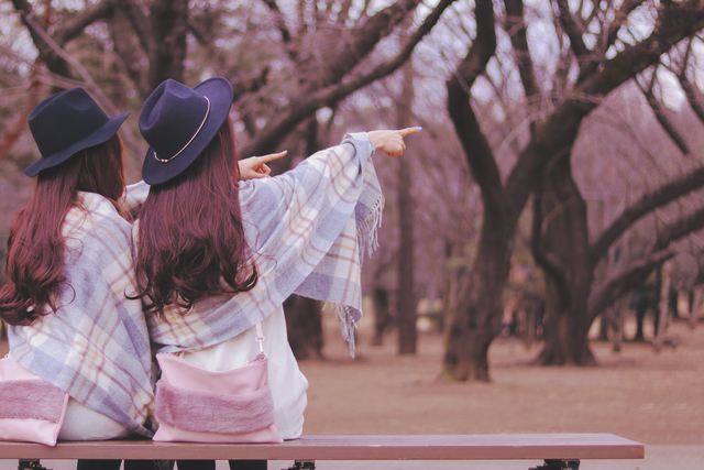 picture