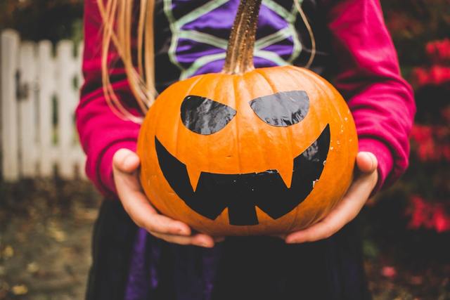 Photo by Julia Raasch / Unsplash