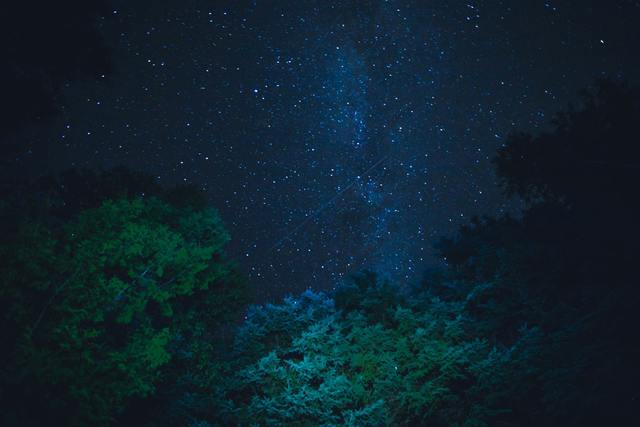 Photo by Jp Valery / Unsplash