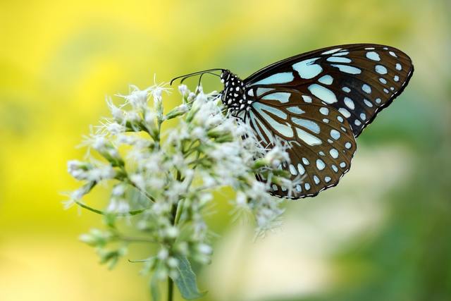 Photo by Boris Smokrovic / Unsplash