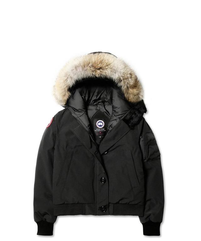 LABRADOR BOMBER