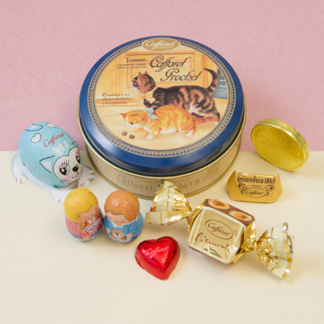 チョコラティーノ(ネコ)