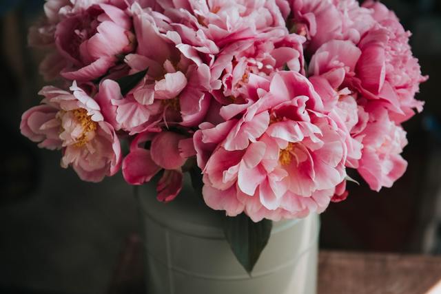 Photo by Alisa Anton / Unsplash