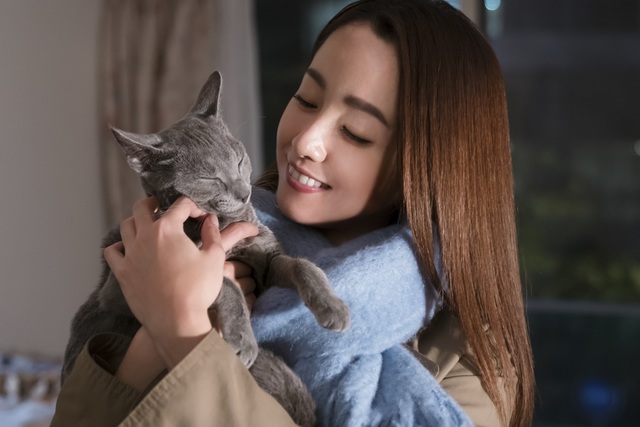 ©︎2018「猫は抱くもの」製作委員会