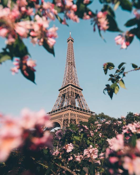 Photo by Jack Anstey / Unsplash