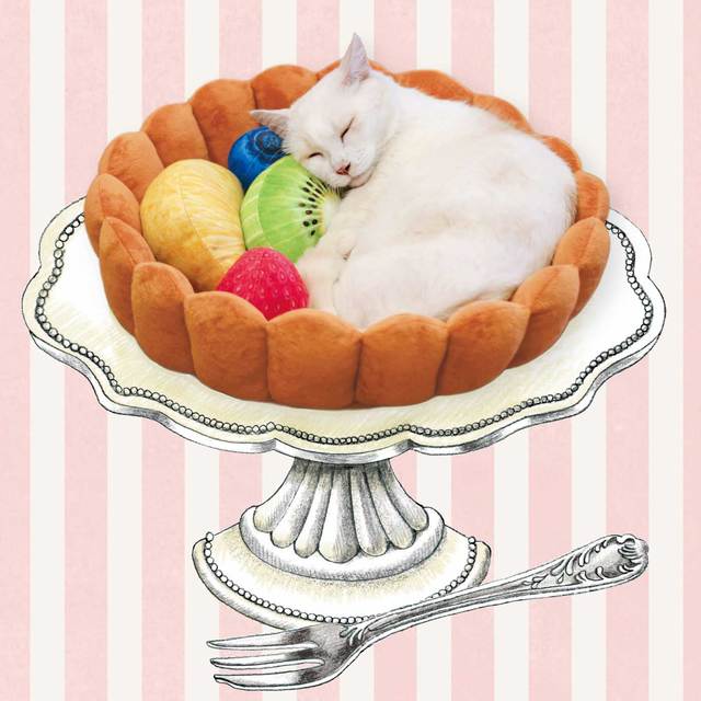 フルーツタルトの具になってスヤァ　スイーツにゃんこクッション