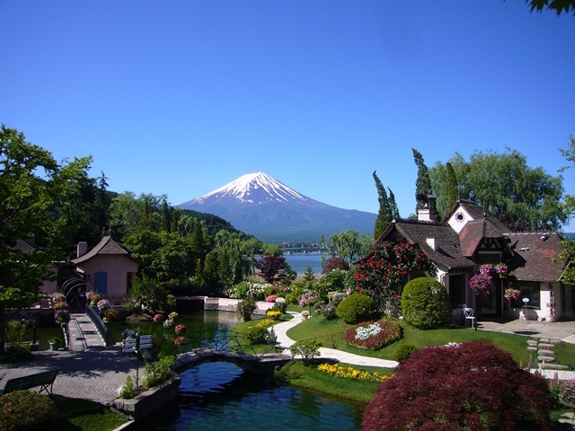 picture