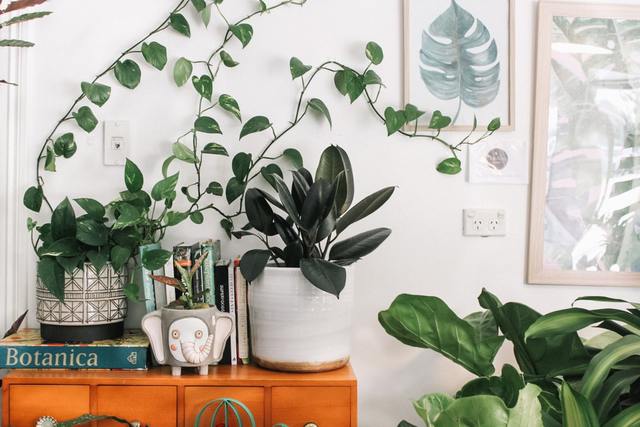 Photo by Prudence Earl / Unsplash