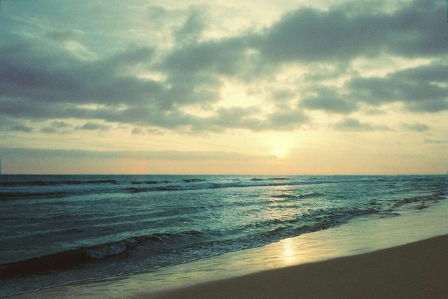 picture