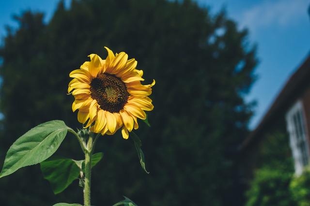 Photo by Annie Spratt / Unsplash
