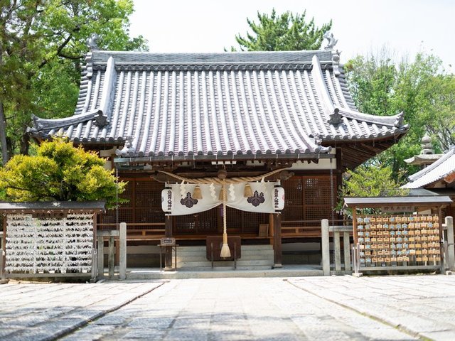 picture