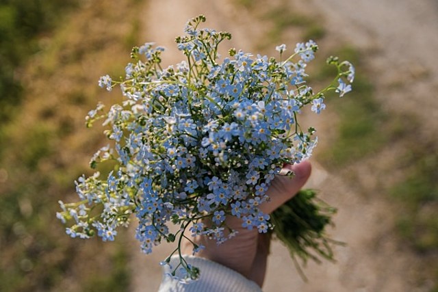 picture
