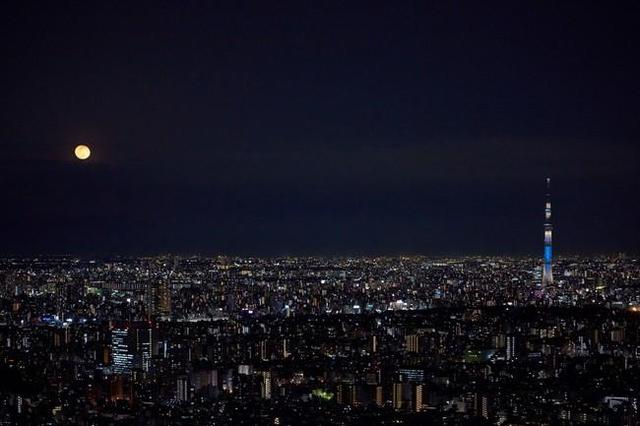 picture