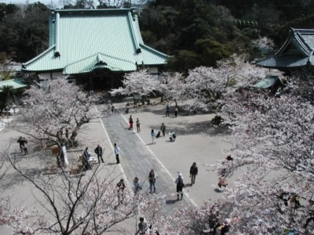 picture