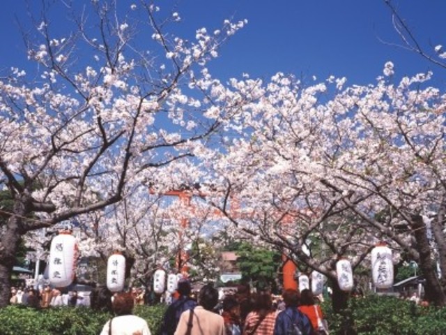 picture
