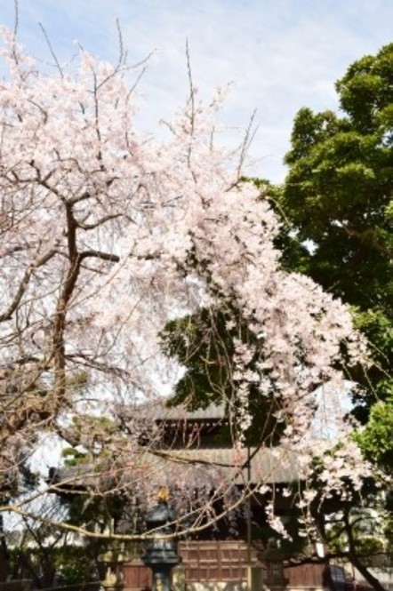 picture