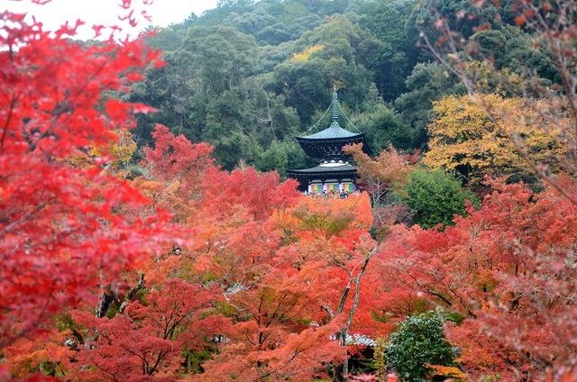 photo:Shutterstock