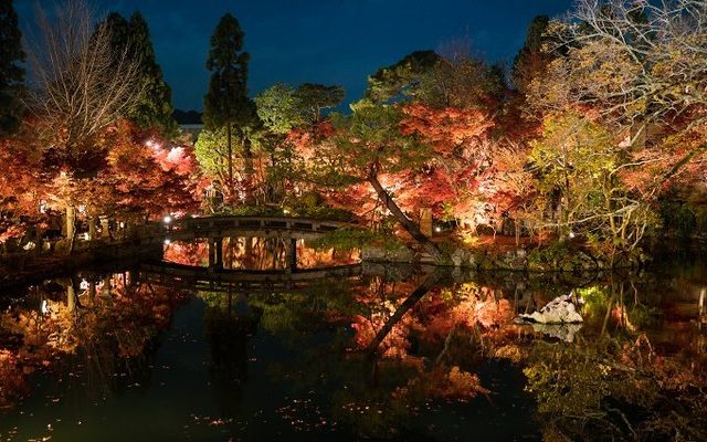 photo:Shutterstock