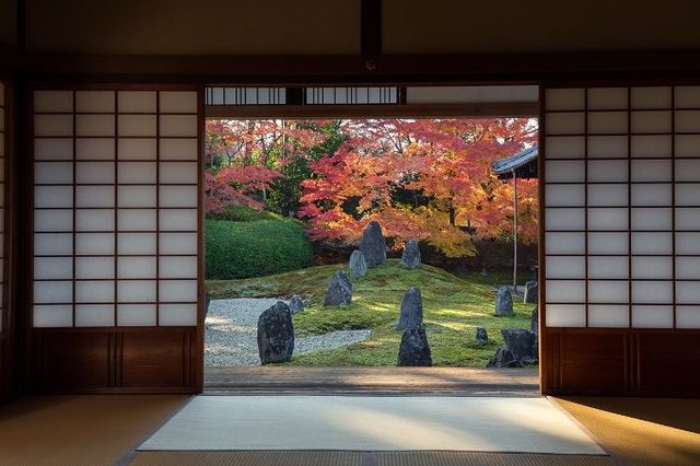 photo:Shutterstock