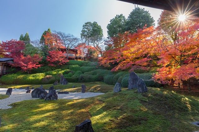 photo:Shutterstock
