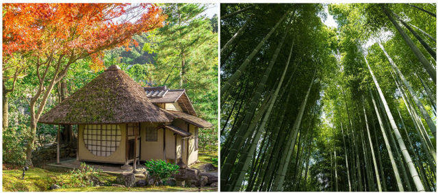 photo:Shutterstock