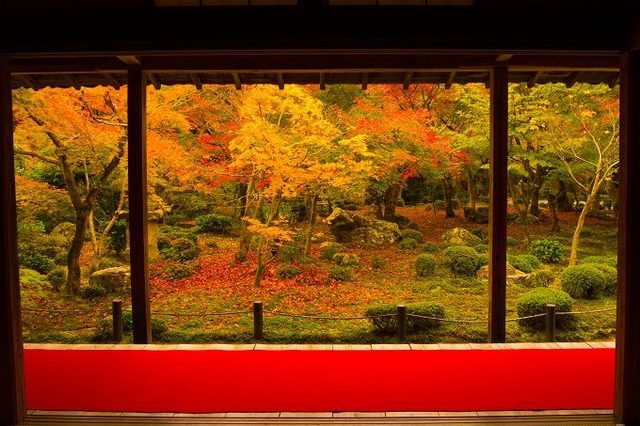photo:Shutterstock