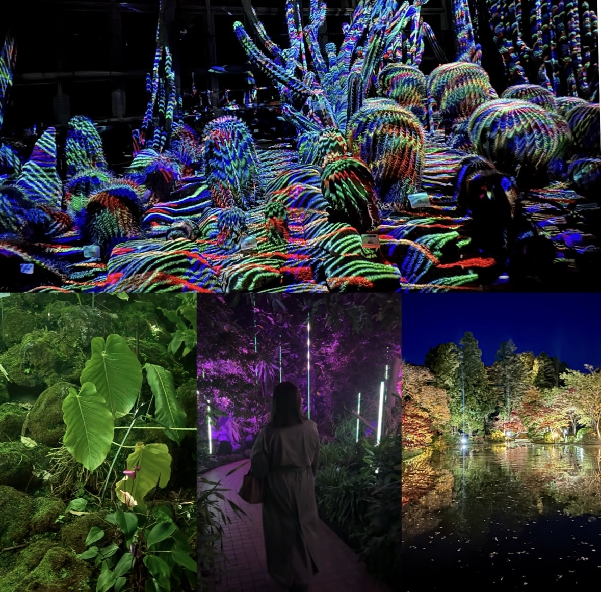 レポ】京都府立植物園の夜アート、世界最高峰「LIGHT CYCLES KYOTO