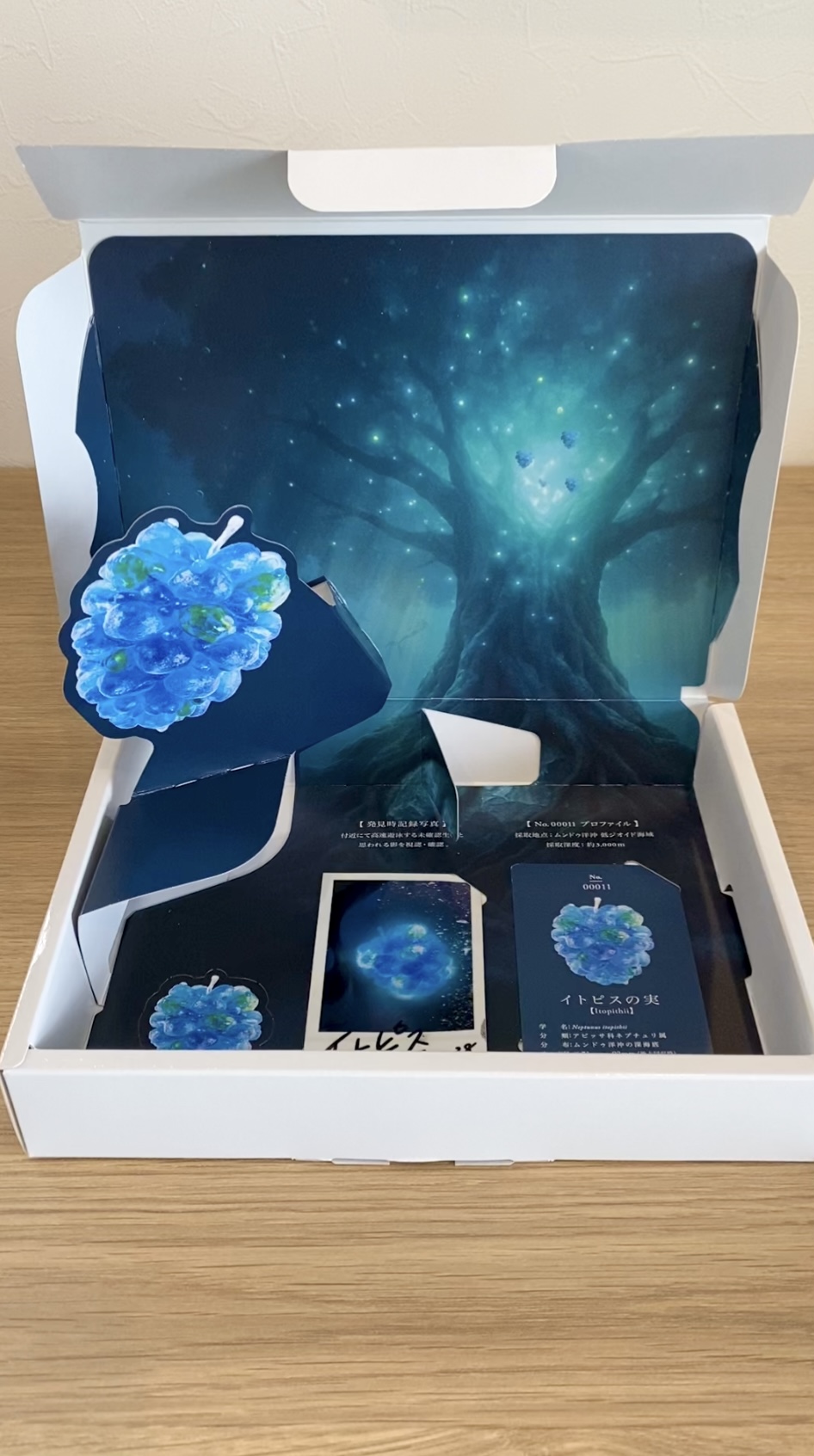開封レビュー】カンロの限定BOXが可愛すぎる！「空想果実イトピスの実