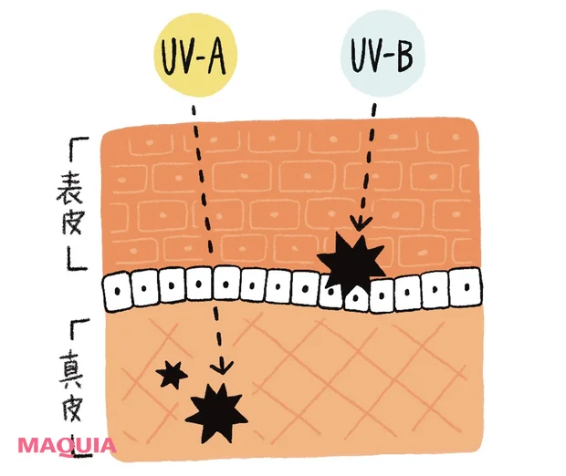 UVA、UVBの違い